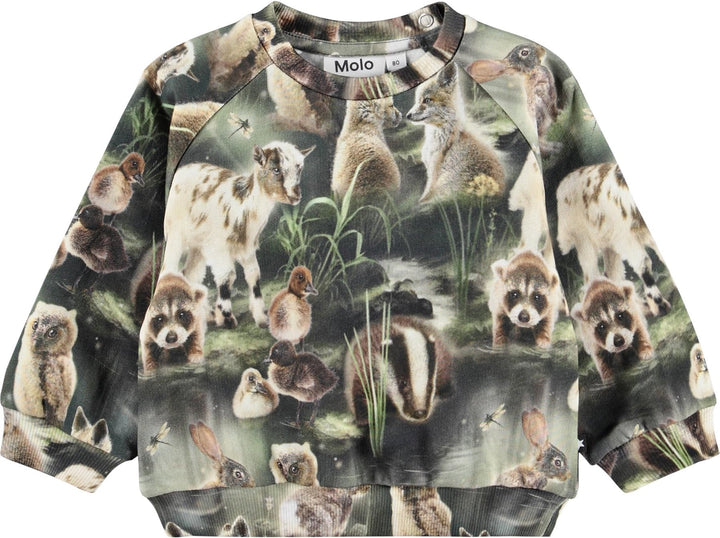 Sweatshirt, Fable forest