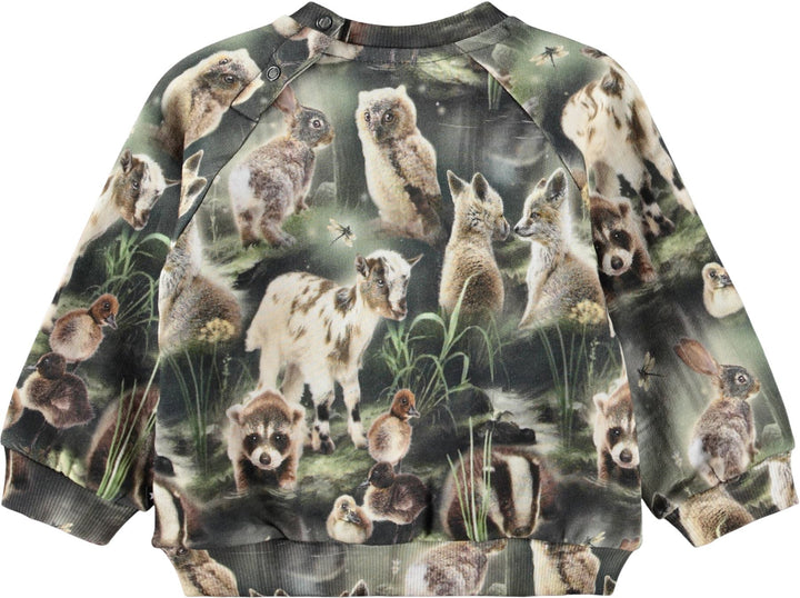 Sweatshirt, Fable forest