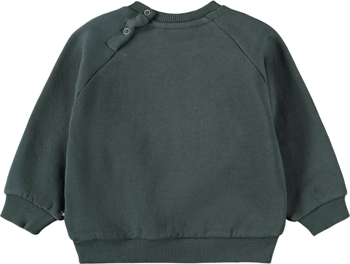 Sweatshirt, Taxus