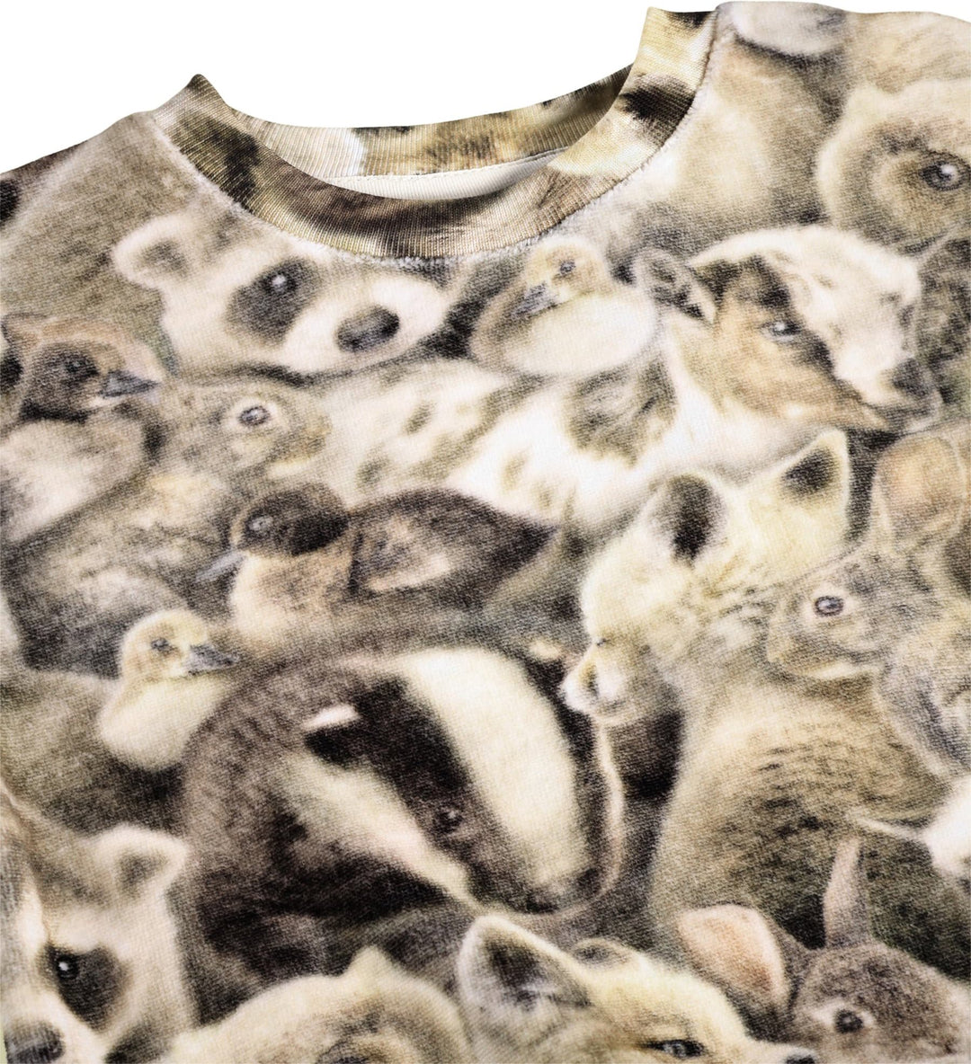 Sweatshirt, Fleecy Friends