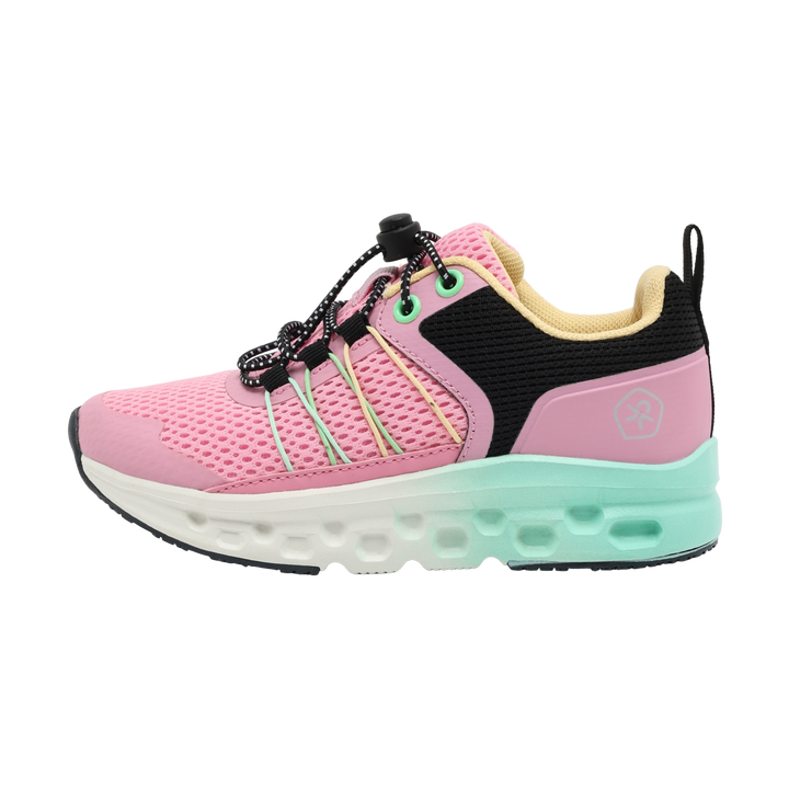 Skógvar, Begonia Pink