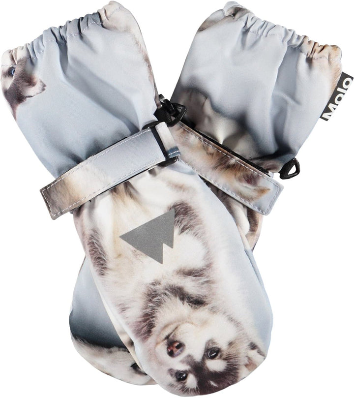 Igor Husky Cubs