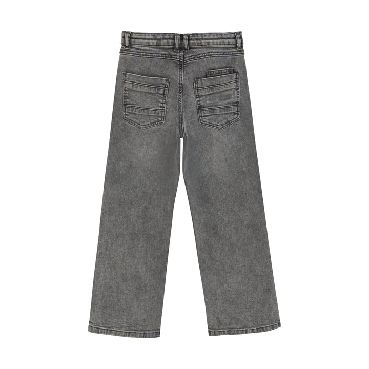 Jeans Denim Wide Fit, Grey