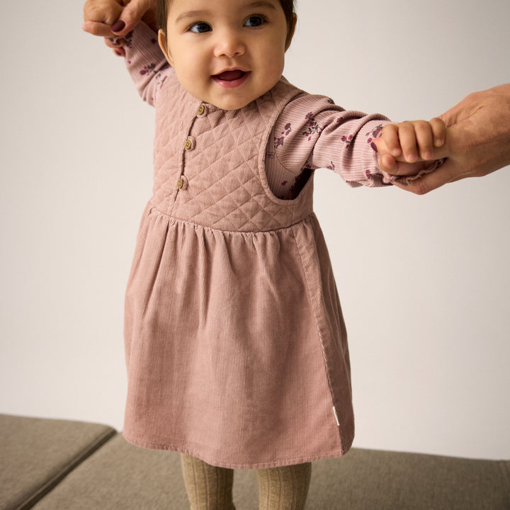 Body Rib, Fawn