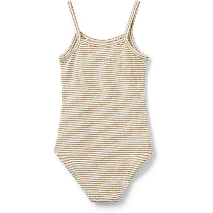Swimsuit, Warm Stone Stripe